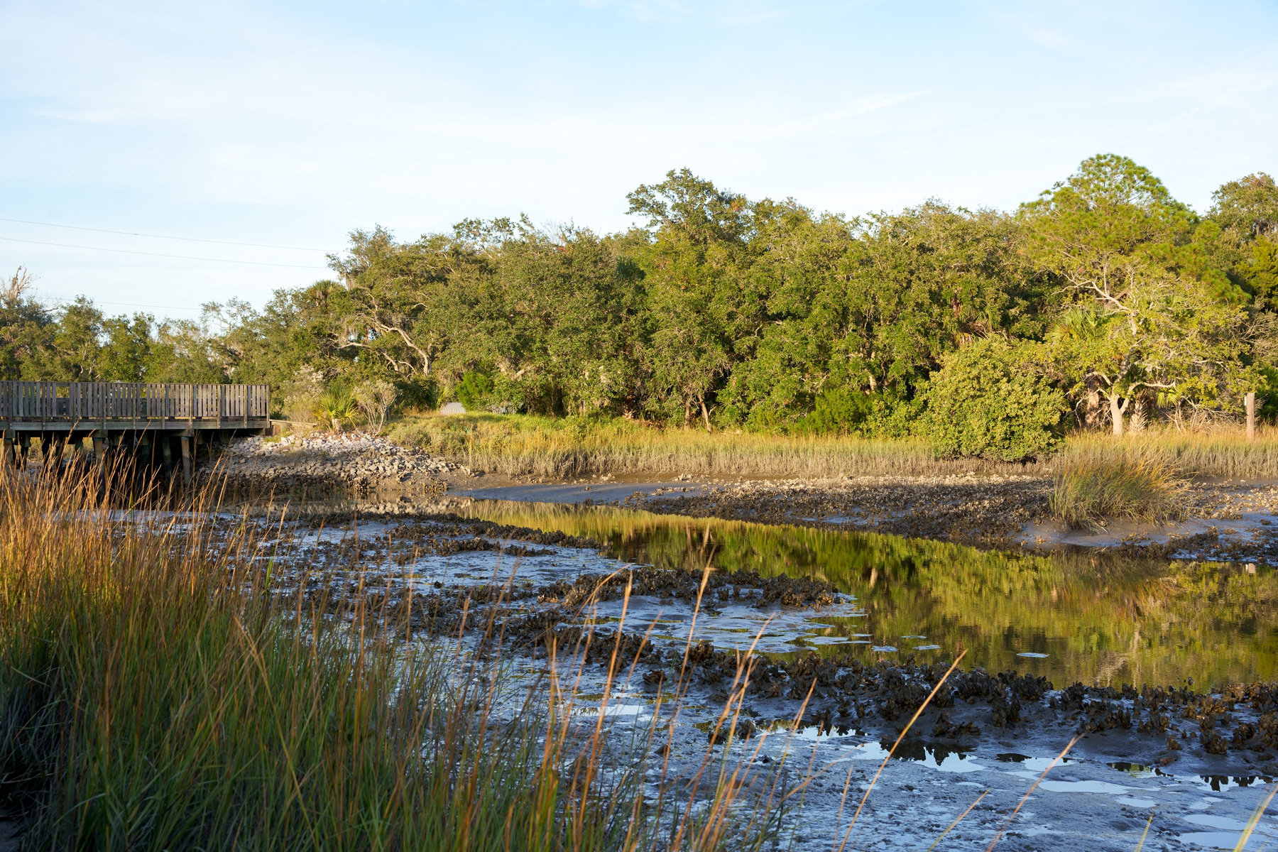 A bridge and a marsh at low tide. 