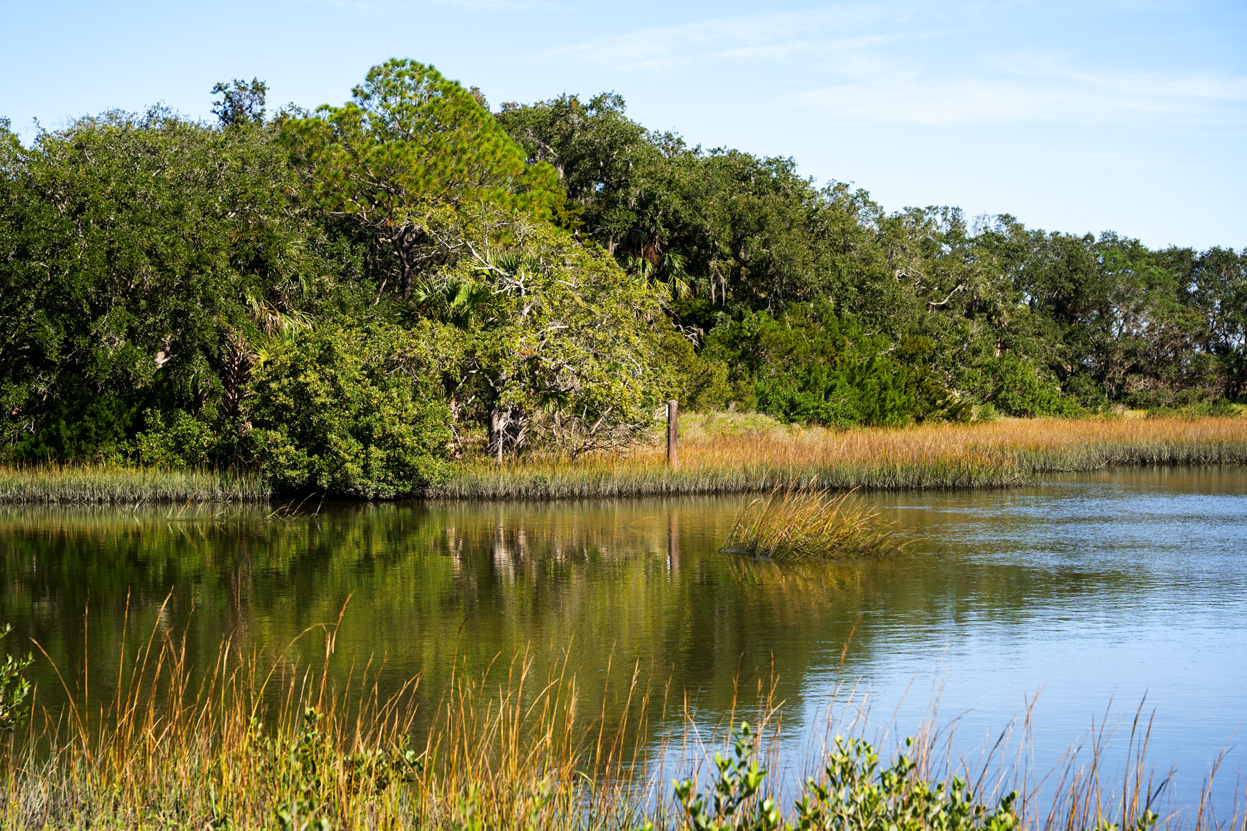A picture of a marsh at high tide. 
