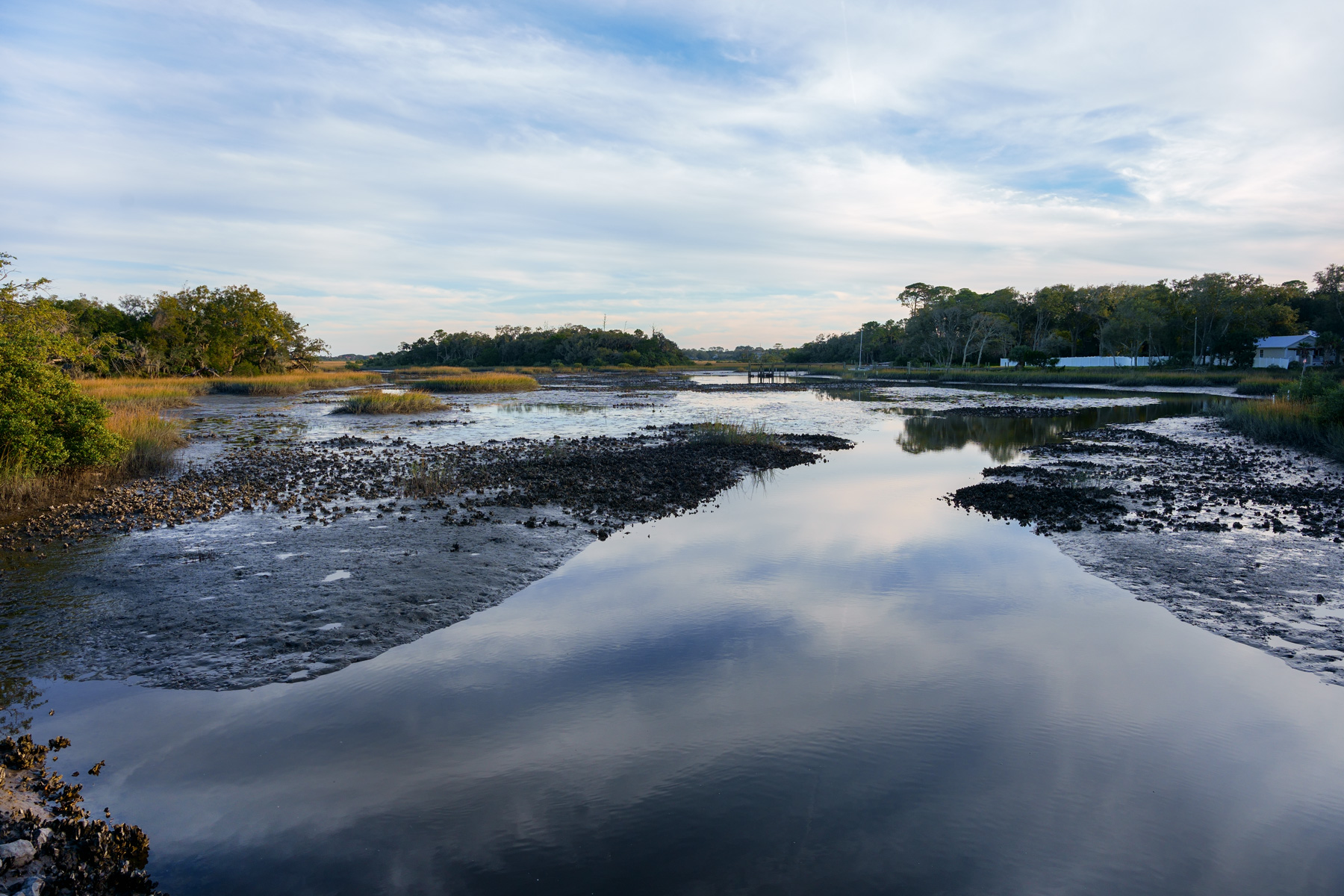 A picture of low tide in a marsh. 