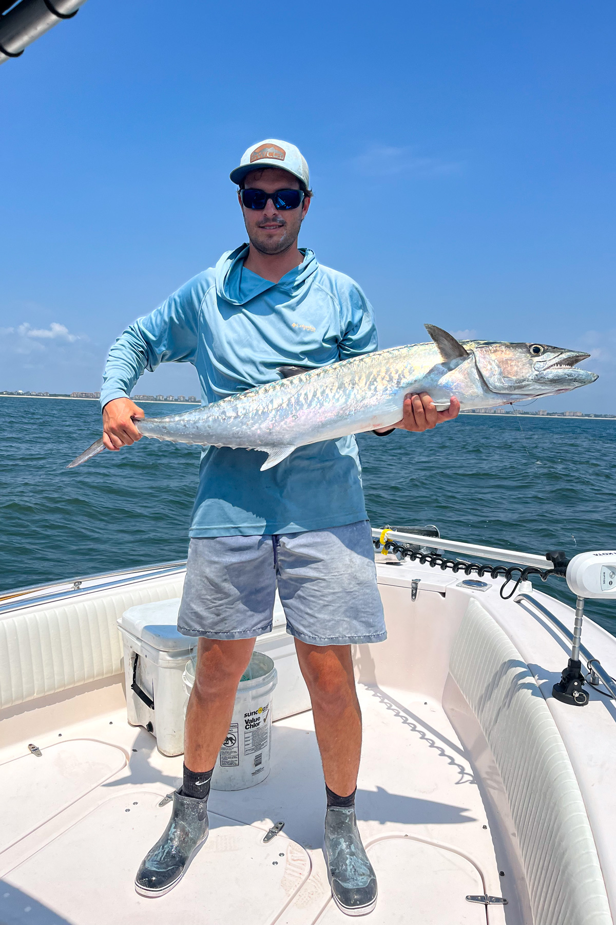 Kingfish caught on a boat. 