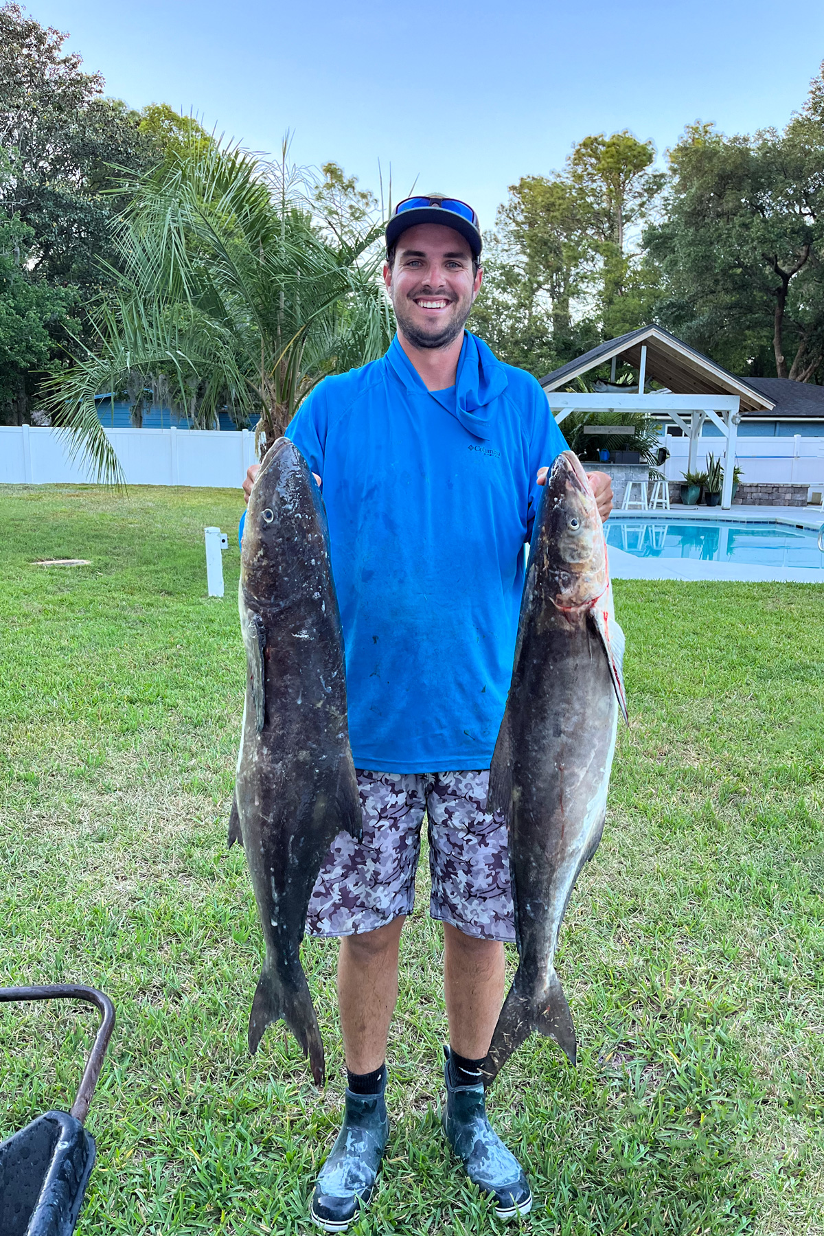 Two Cobia I caught while fishing. 