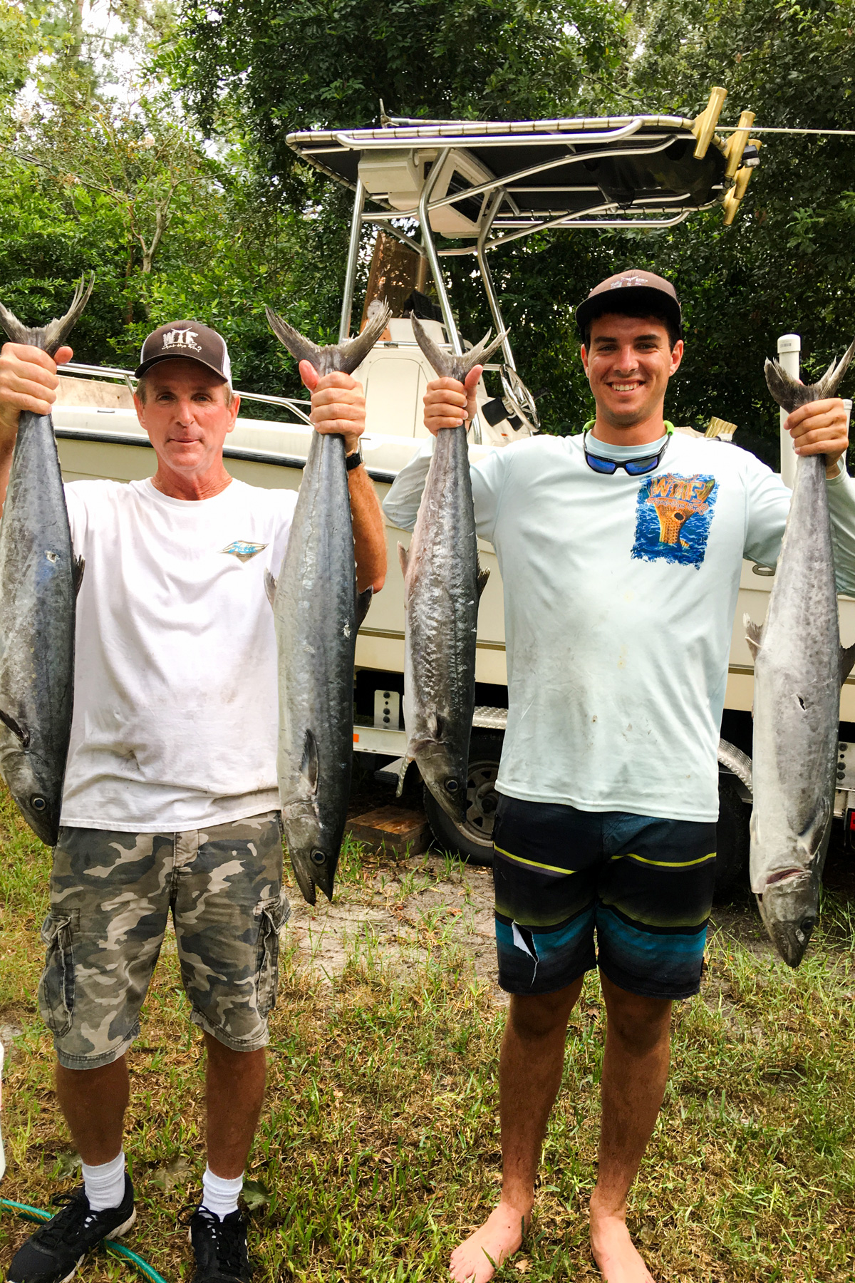 A limit of King Mackerel caught on Live Bait. 