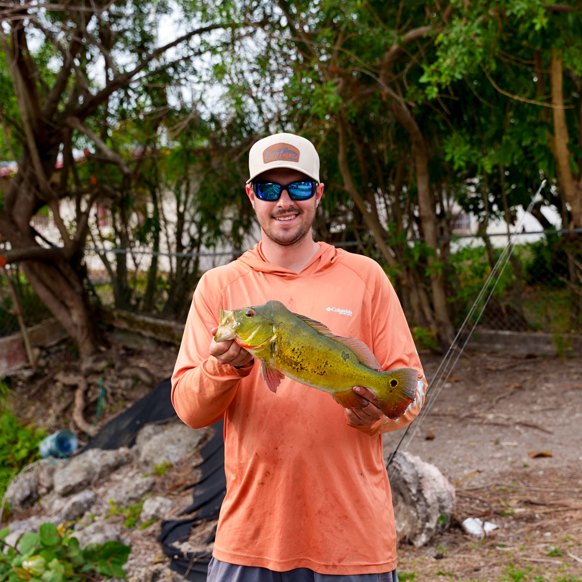 Peacock Bass featured image.