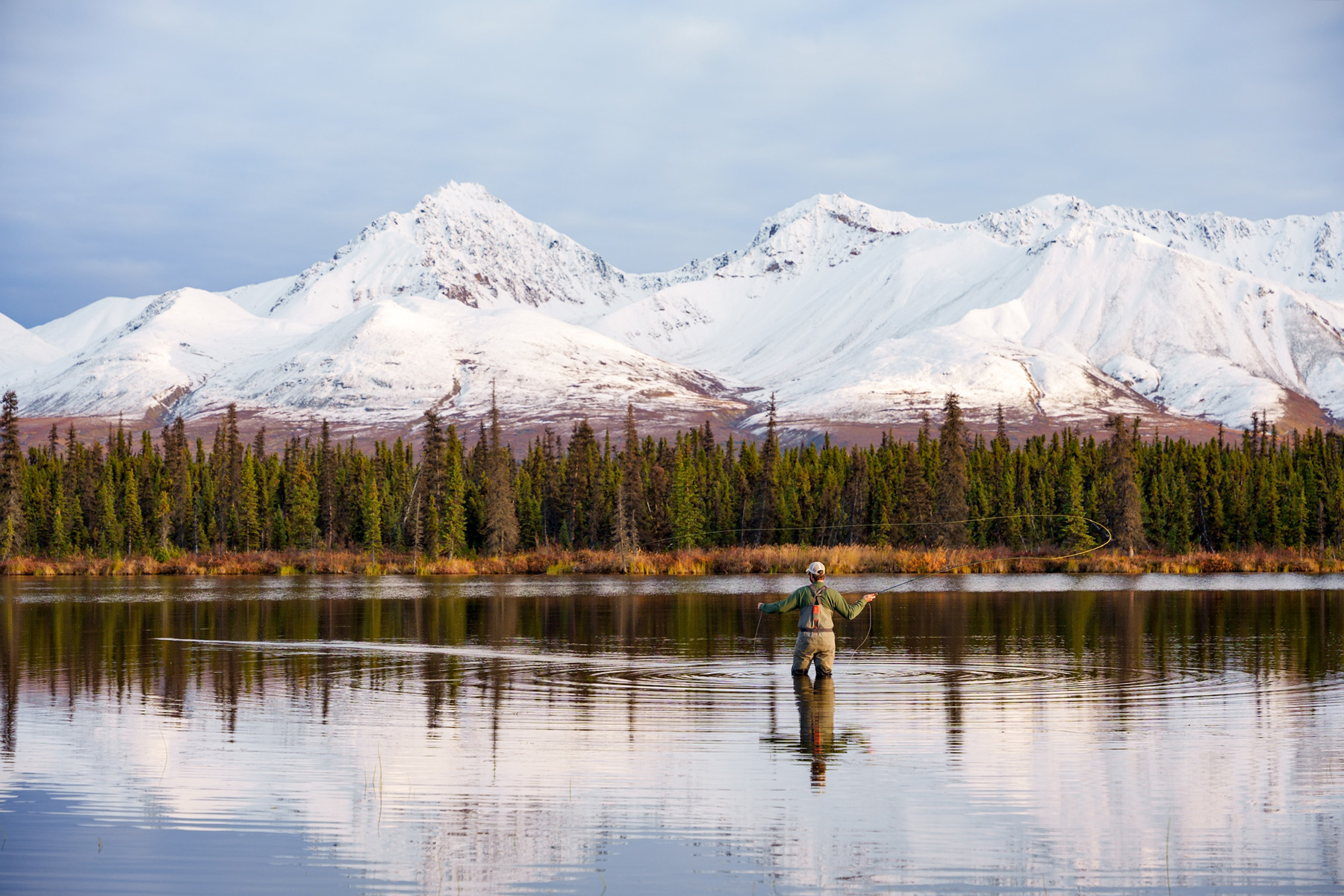 me fly fishing in a beaver pond in denali national park alaska