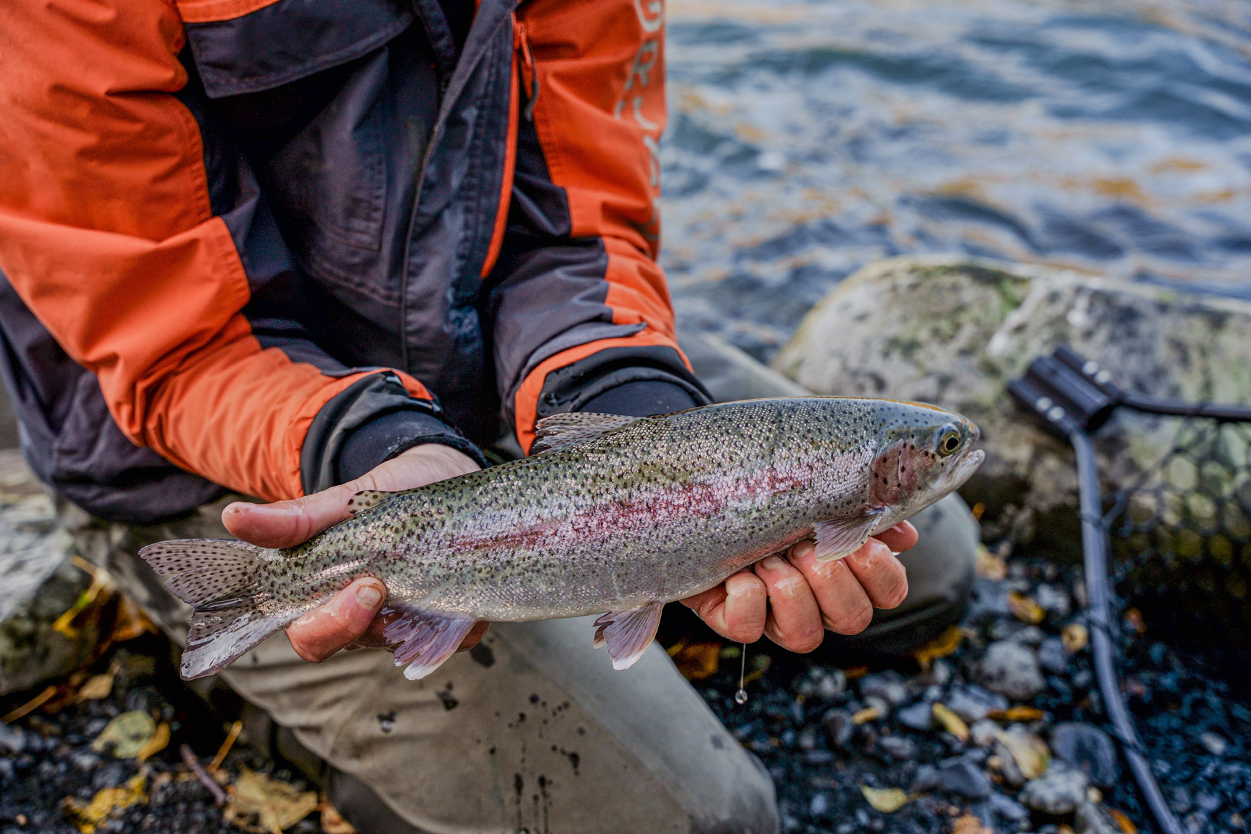 me with a large rainbow trout in the kenai river that I caught while fly fishing in alaska