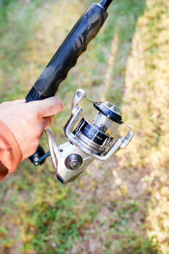 A picture of my Shimano Saragosa 8000 without line. 