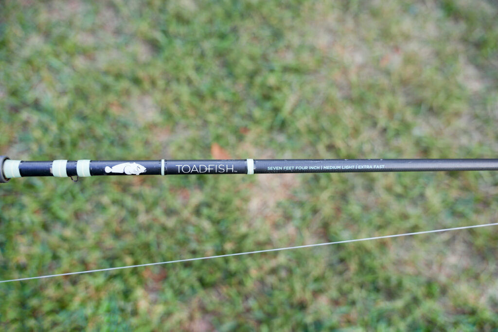  A picture of my Toadfish Medium light. 